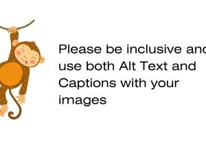 Ensuring Accessibility: A Friendly Reminder on Alt Text Best Practices