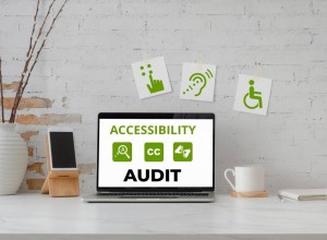 Website accessibility audit for a publicly-funded body