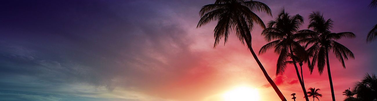 Silhouette of tall palm trees against a vibrant sunset sky with gradient hues of purple, red, orange, and blue. The sun is partially visible on the horizon, creating a dramatic and colorful backdrop.