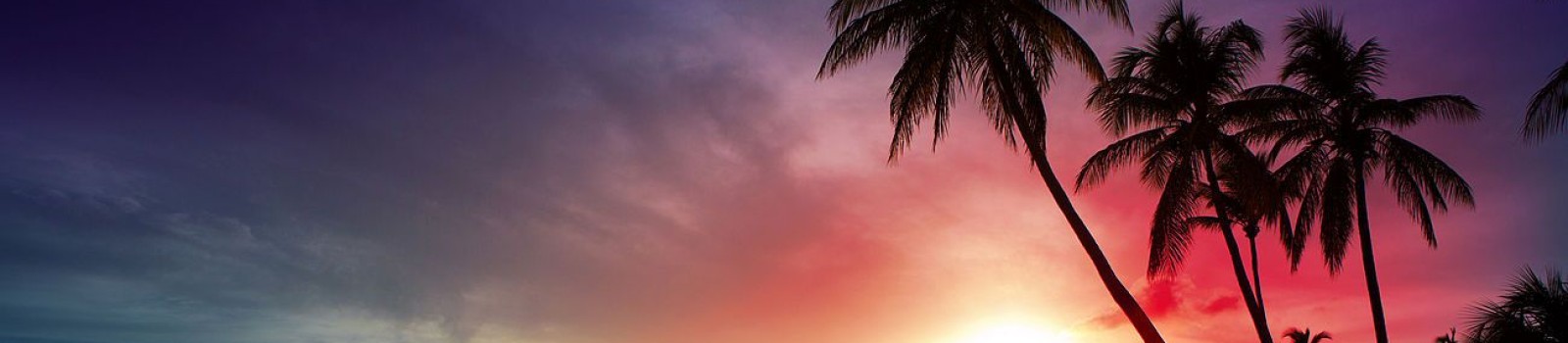 Silhouette of tall palm trees against a vibrant sunset sky with gradient hues of purple, red, orange, and blue. The sun is partially visible on the horizon, creating a dramatic and colorful backdrop.