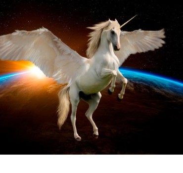 A fully accessible website and a unicorn - what they have in common