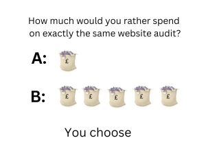 Which investment would you prefer for the same website accessibility audit?