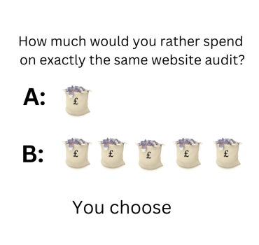 Which investment would you prefer for the same website accessibility audit?