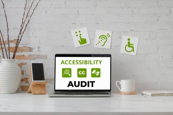   What is a Website Accessibility Audit?